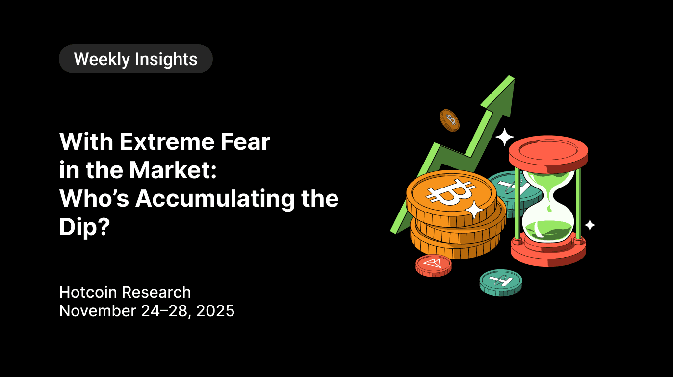 With Extreme Fear in the Market: Who’s Accumulating the Dip? Hotcoin Research | November 24–28, 2025